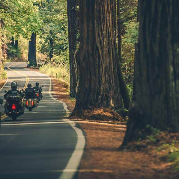 Guardian Medical - Treatment for Motorcycle Injury Accidents